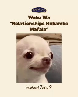Planned girlfriends washatumiwa packages. Anyways, weh unaeza jituliza na Blackish!

#DairylandKE #OneOfOne #Blackish