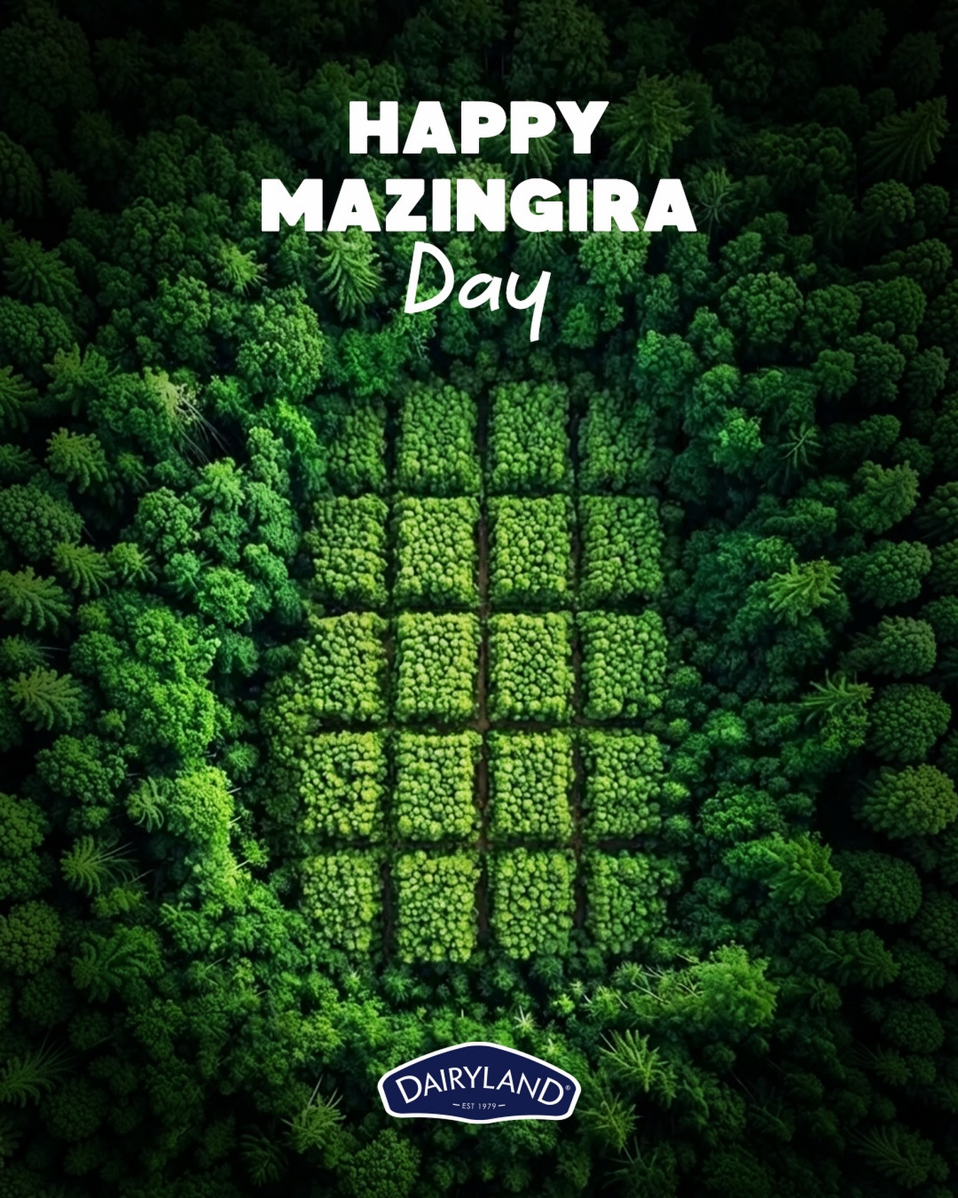 Today, we celebrate the home we all share and the little things we can do to keep it greener, cleaner and happier. Here’s to making a difference, one step at a time.
Happy Mazingira Day from Dairyland!

#Dairylandke #CraftedHappiness